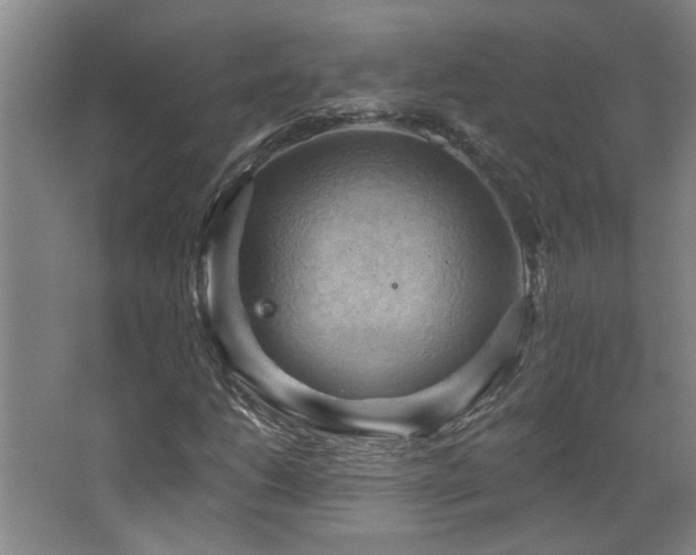 X0000068741206200604281130