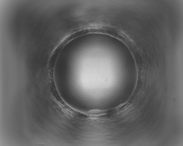 X0000068741208200604281131