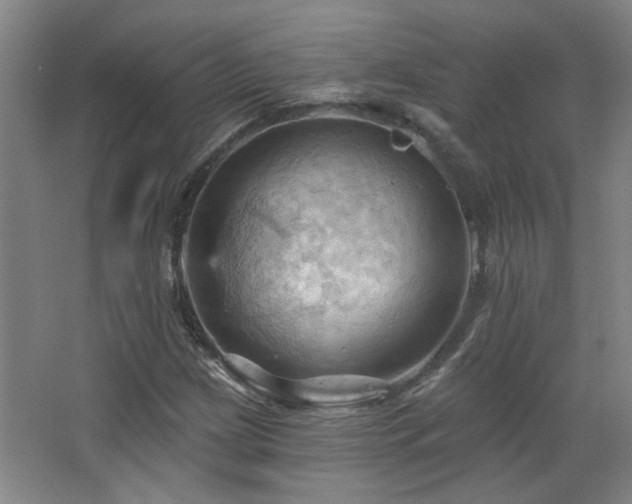 X0000068741209200604281131