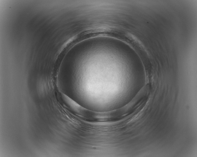 X0000068741210200604281131