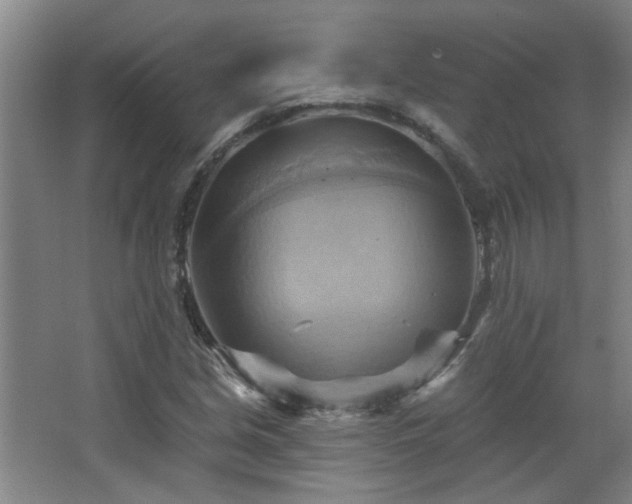 X0000068741213200604281131