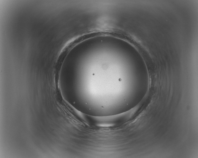 X0000068741214200604281131