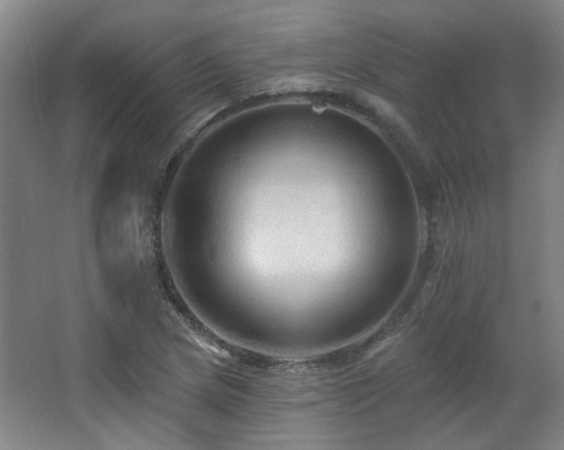 X0000068741217200604281131