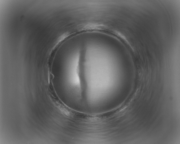 X0000068741219200604281131