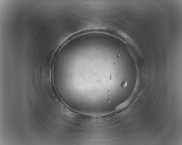 X0000068741220200604281131