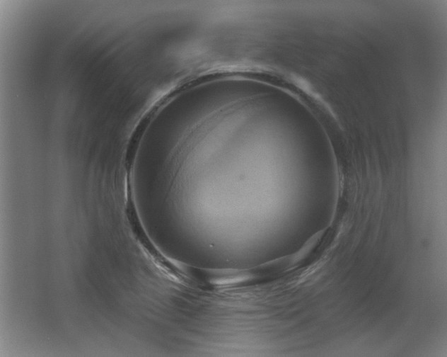 X0000068741221200604281131