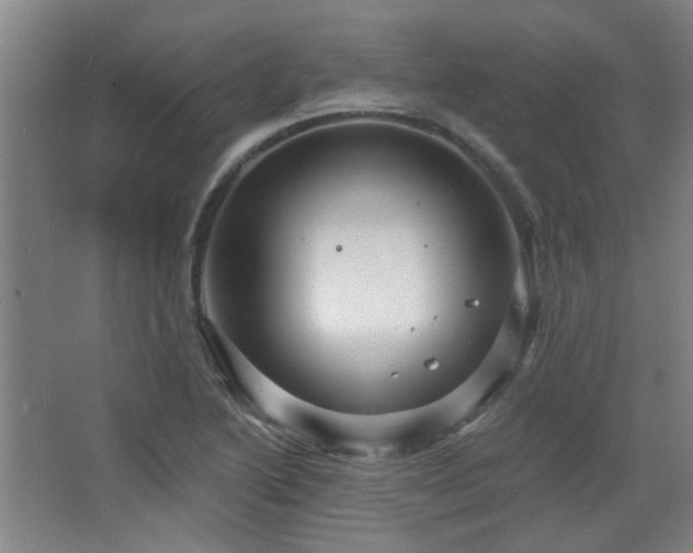 X0000068741222200604281131