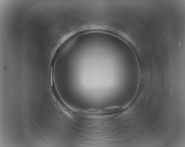 X0000068741223200604281131