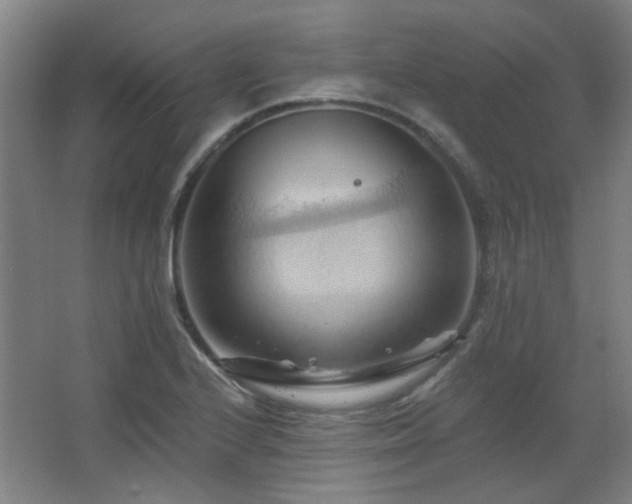 X0000068741224200604281131