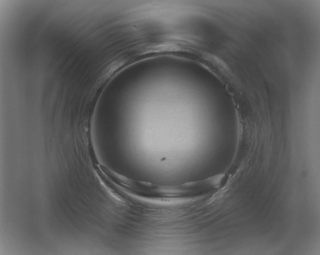 X0000068741225200604281131