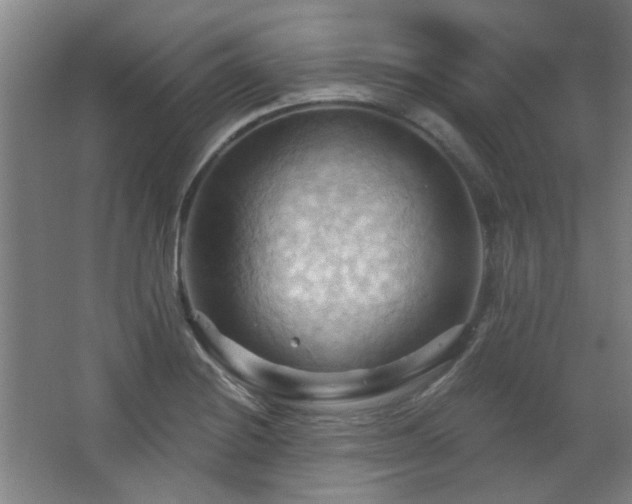 X0000068741228200604281131