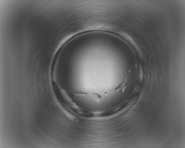 X0000068741230200604281131