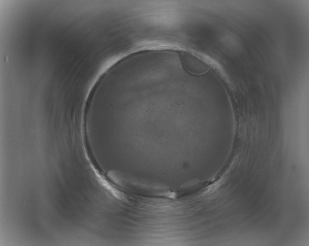 X0000068741231200604281131