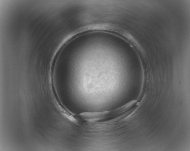 X0000068741232200604281131