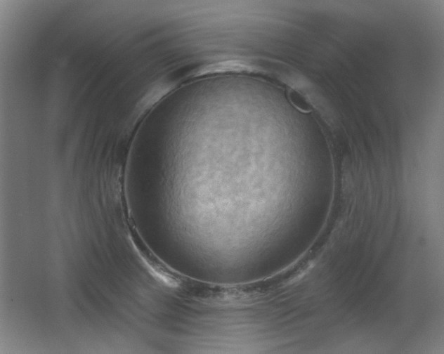 X0000068741233200604281131