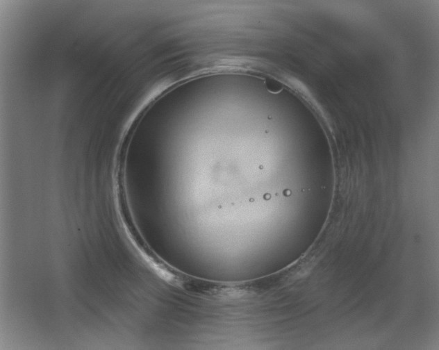 X0000068741235200604281131