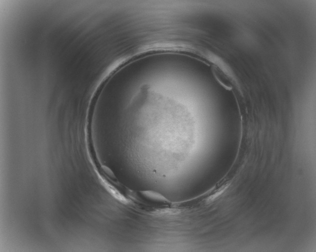 X0000068741237200604281131