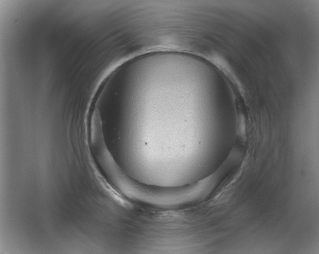 X0000068741238200604281131