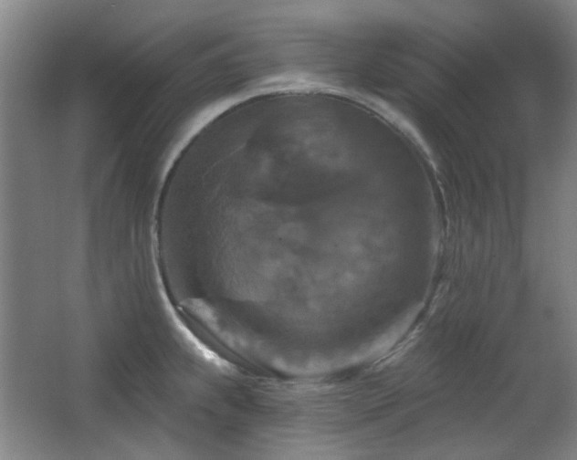 X0000068741239200604281131