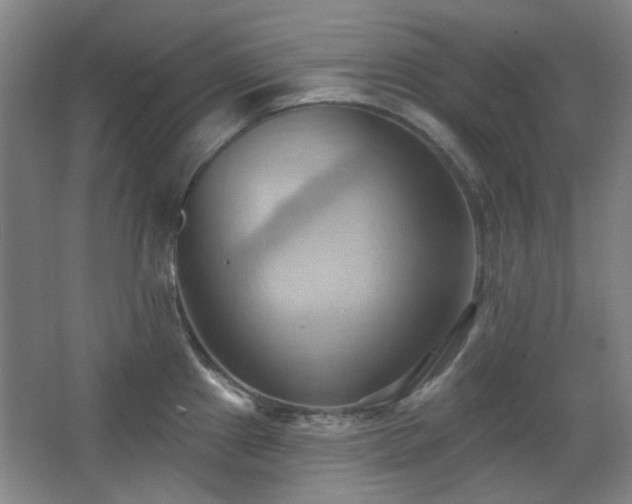 X0000068741241200604281131