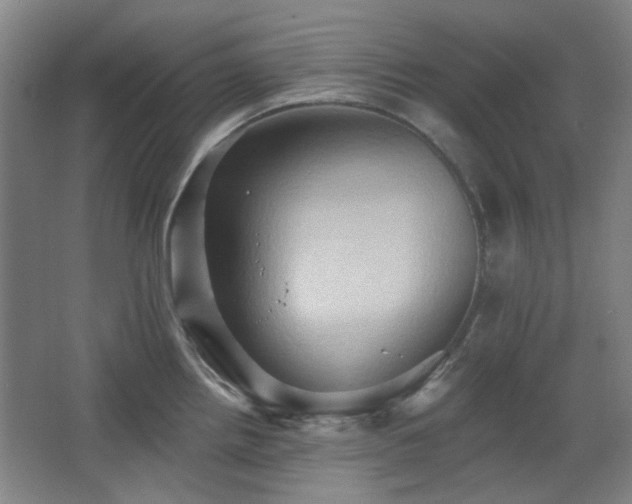 X0000068741242200604281131