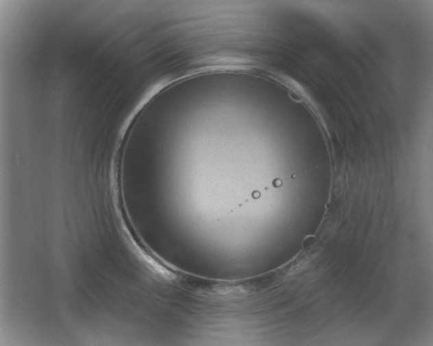 X0000068741243200604281131