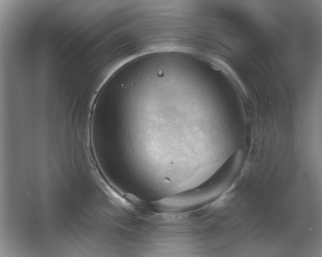 X0000068741244200604281131