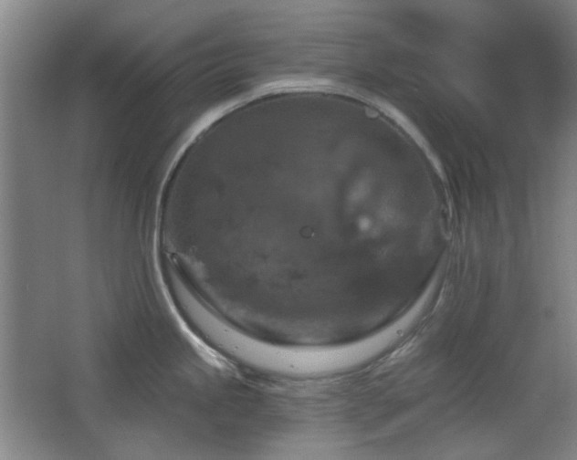 X0000068741245200604281131