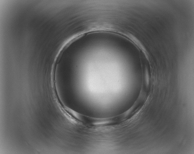 X0000068741246200604281131