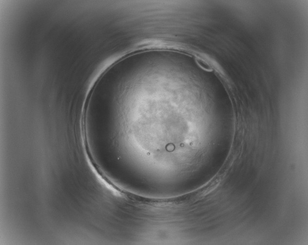 X0000068741247200604281131