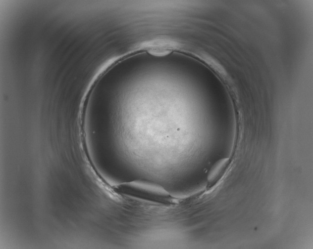 X0000068741248200604281131