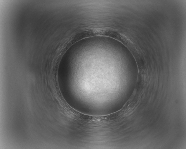 X0000068741249200604281130