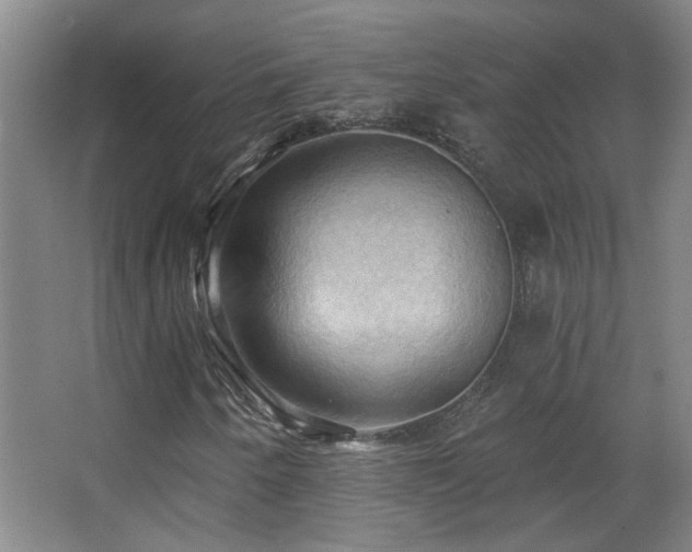 X0000068741250200604281130