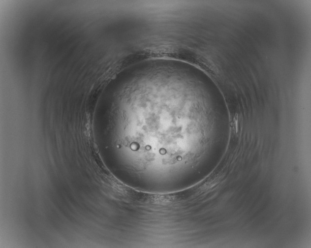 X0000068741251200604281130