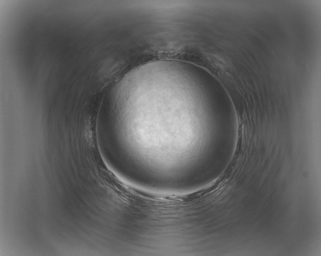 X0000068741252200604281130