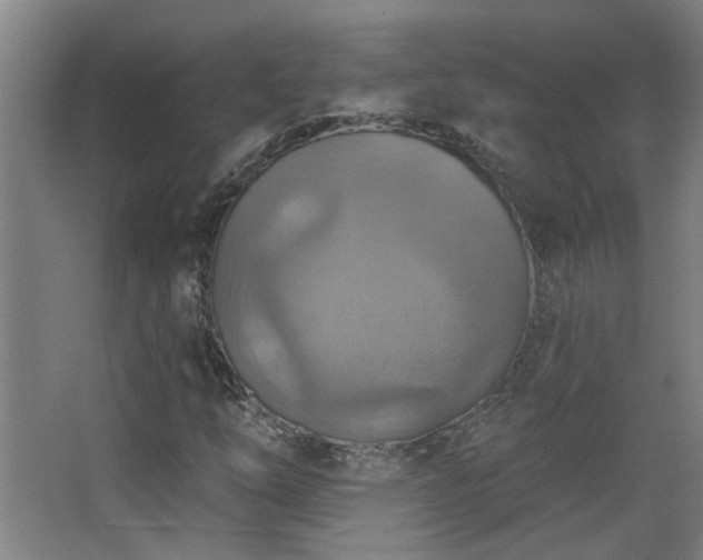 X0000068741254200604281130