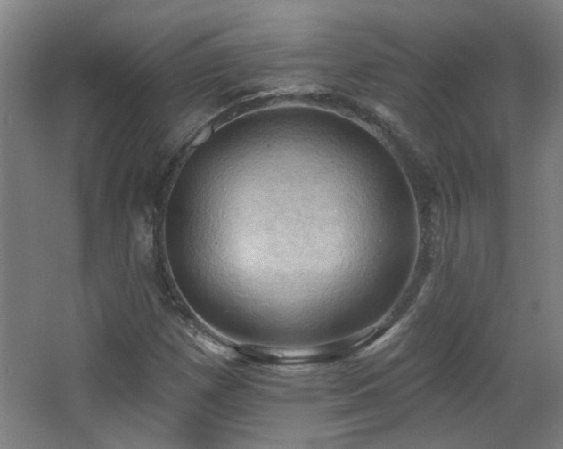 X0000068741257200604281130