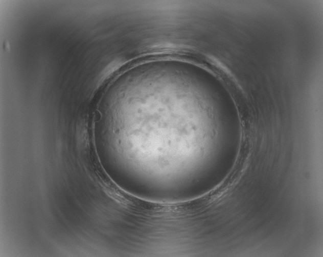 X0000068741259200604281130