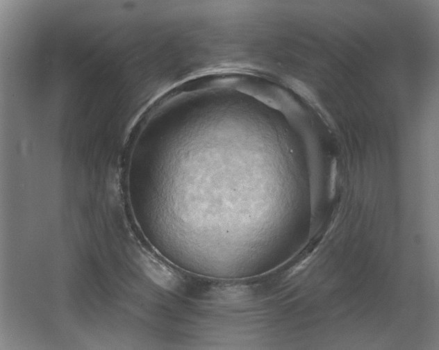 X0000068741260200604281130