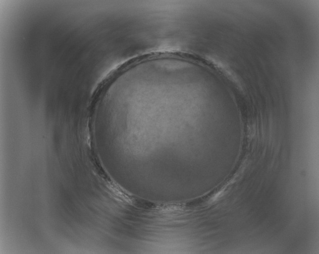 X0000068741262200604281130