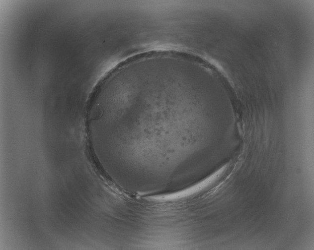 X0000068741263200604281130