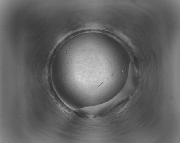 X0000068741264200604281130