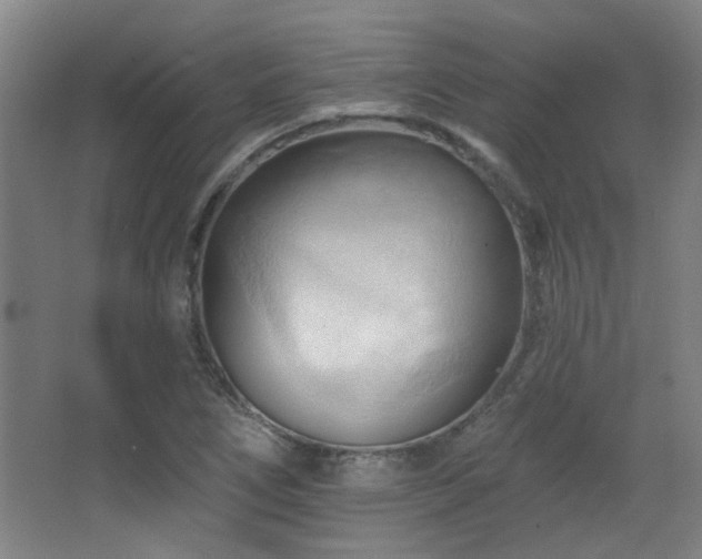 X0000068741266200604281130