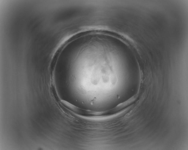 X0000068741271200604281130