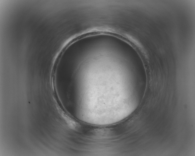 X0000068741272200604281130