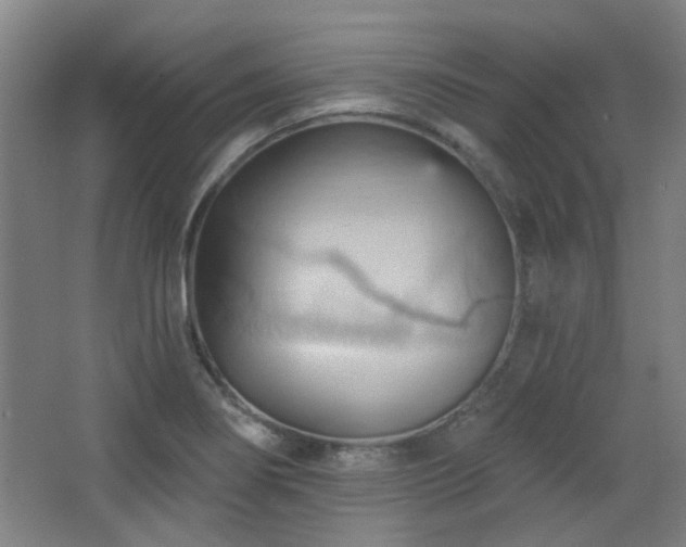 X0000068741274200604281130