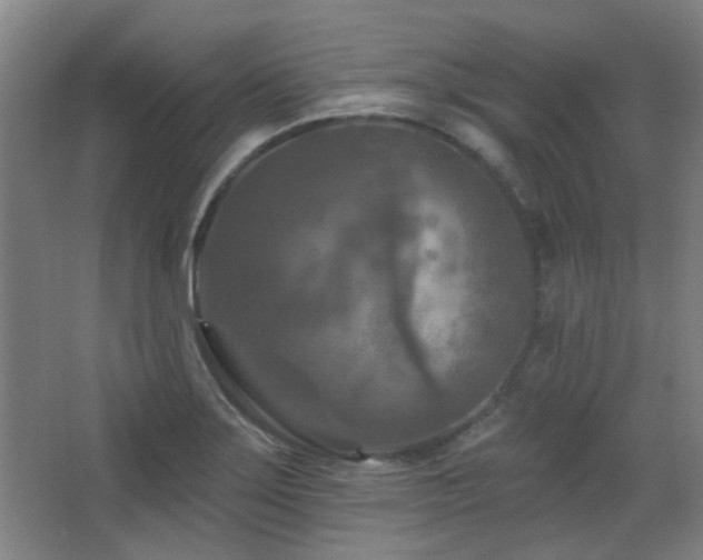 X0000068741275200604281130