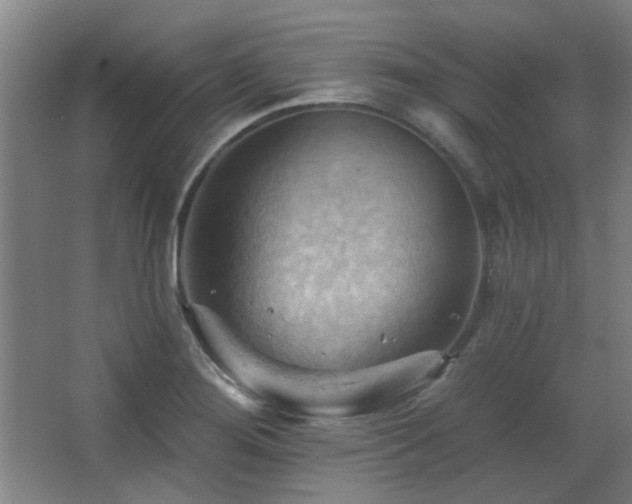 X0000068741276200604281130