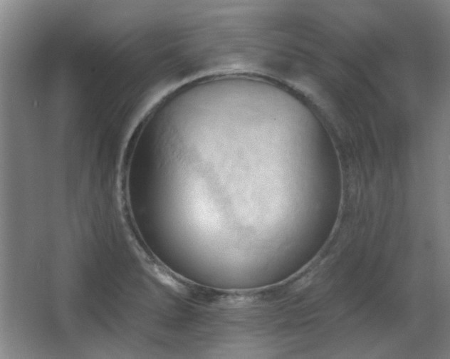 X0000068741278200604281130