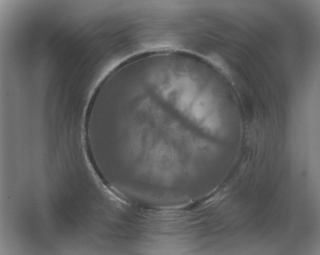 X0000068741279200604281130